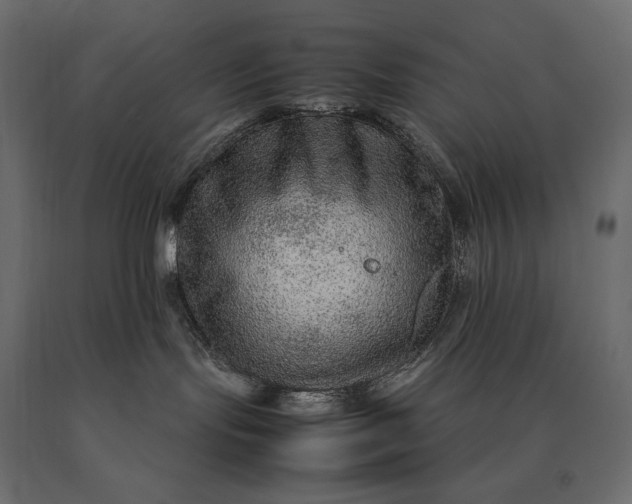 X0000090470095200708031315