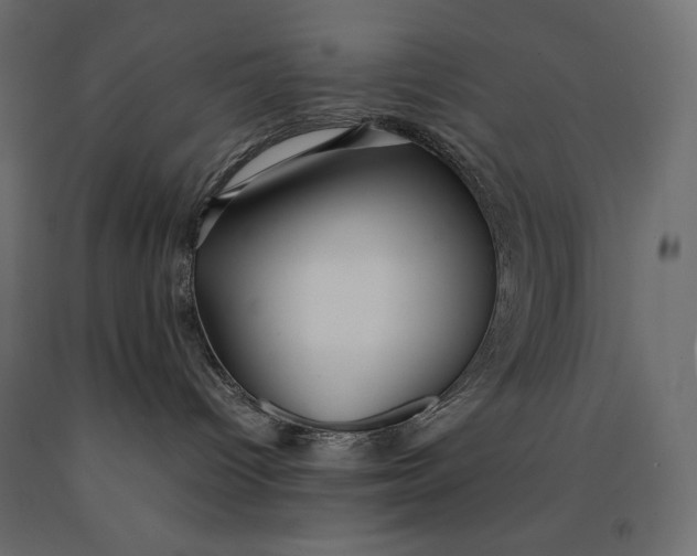 X0000090470096200708031315