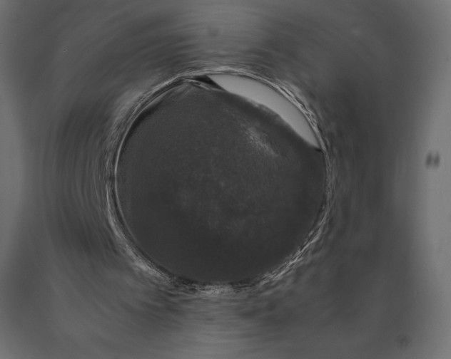 X0000090470097200708031314