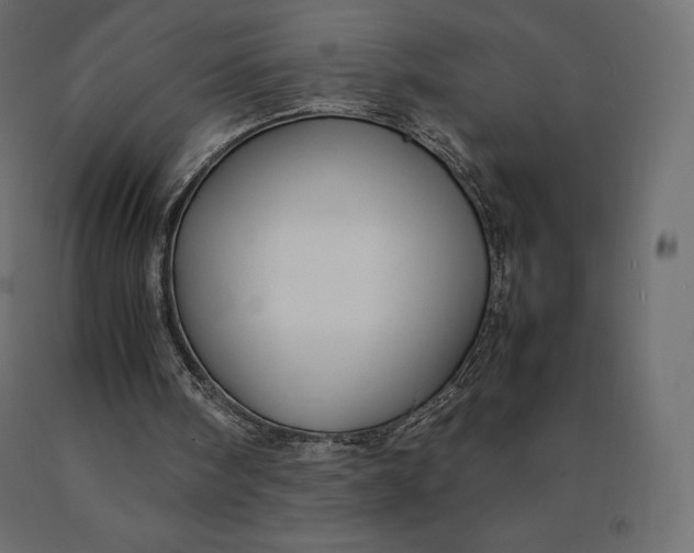 X0000090470098200708031314