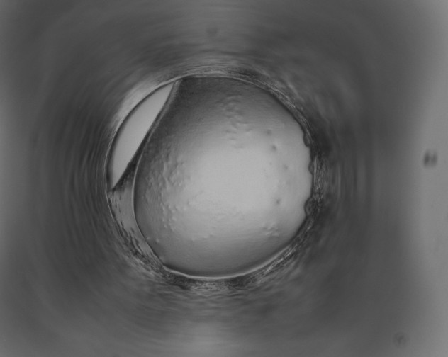 X0000090470099200708031314