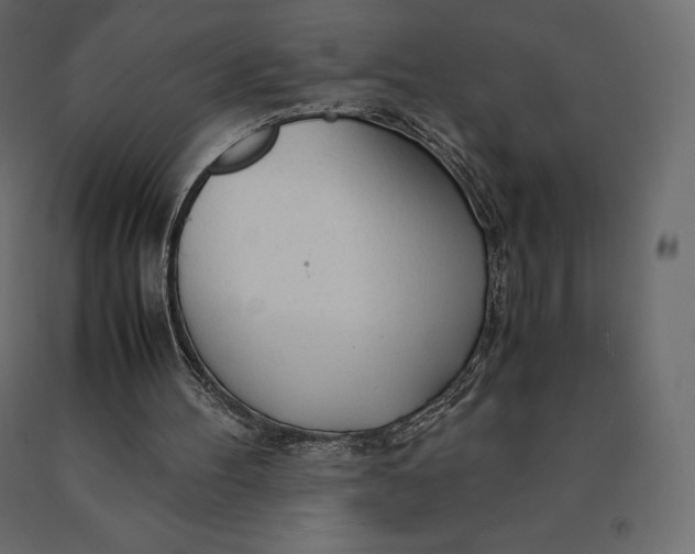 X0000090470100200708031314