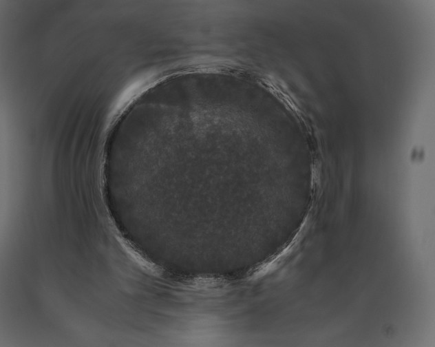 X0000090470101200708031314