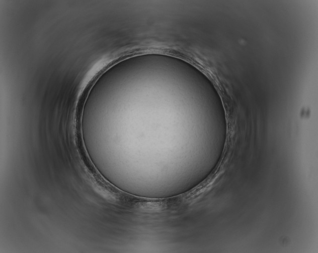 X0000090470102200708031314