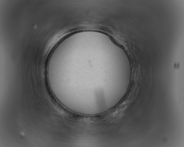 X0000090470103200708031314