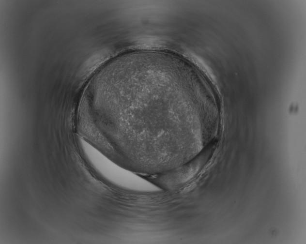 X0000090470105200708031314