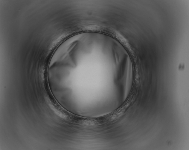 X0000090470106200708031314