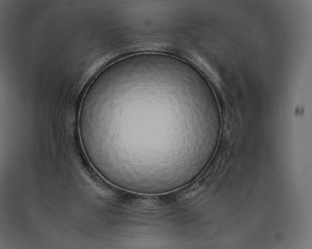 X0000090470107200708031314