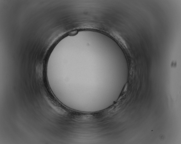 X0000090470108200708031314