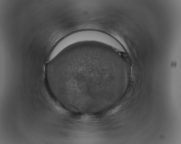 X0000090470109200708031314