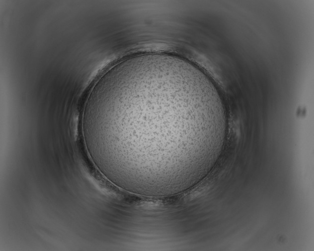 X0000090470110200708031314