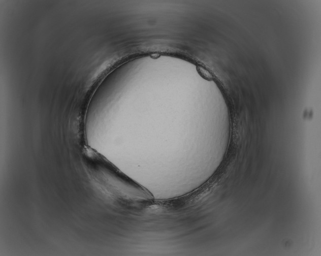 X0000090470111200708031314