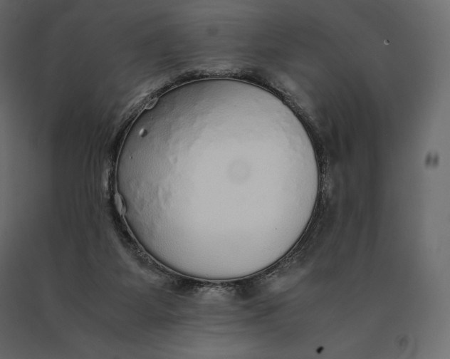 X0000090470115200708031314