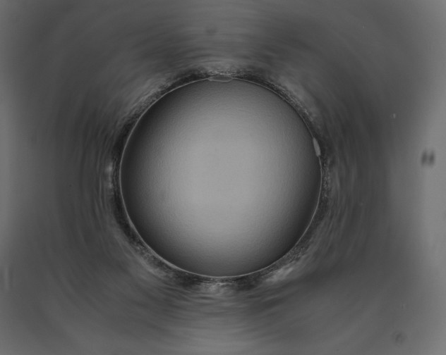 X0000090470117200708031314