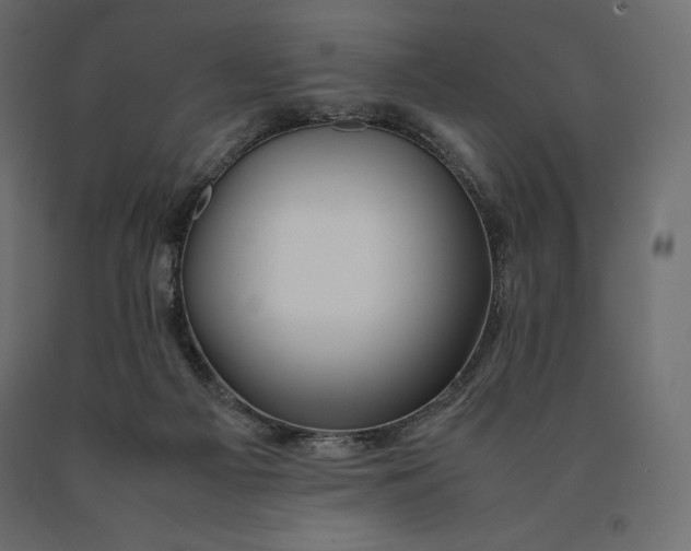 X0000090470121200708031314