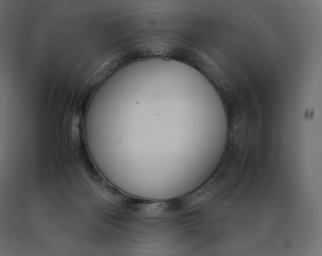 X0000090470122200708031314