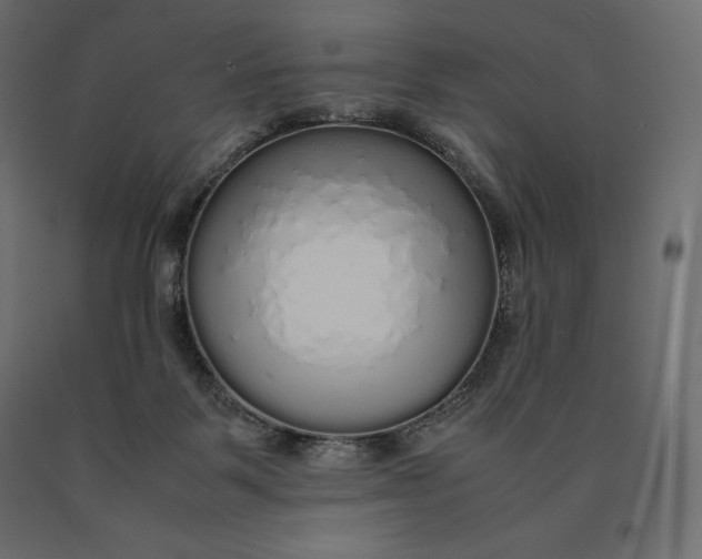 X0000090470123200708031314