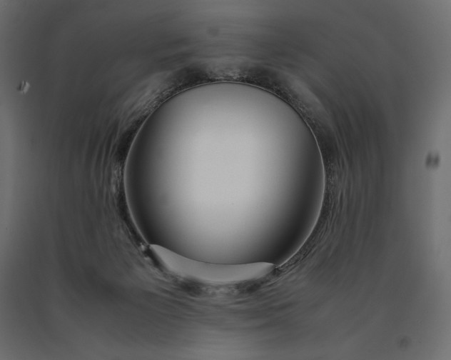 X0000090470125200708031314