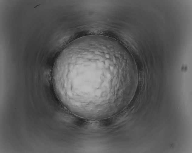 X0000090470127200708031314