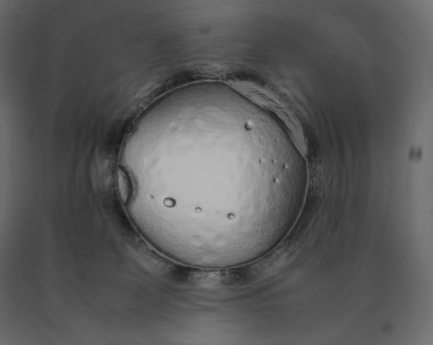 X0000090470131200708031314