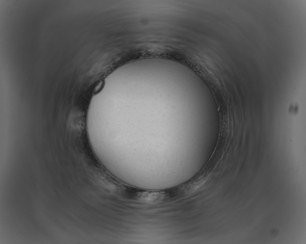 X0000090470135200708031313