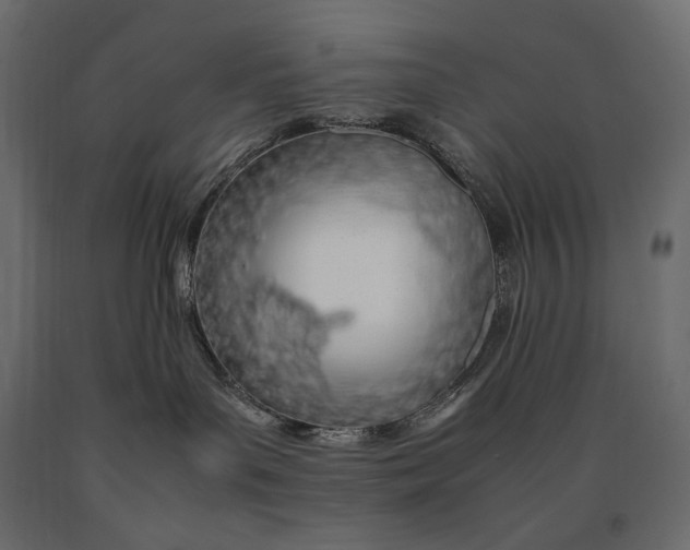 X0000090470143200708031313