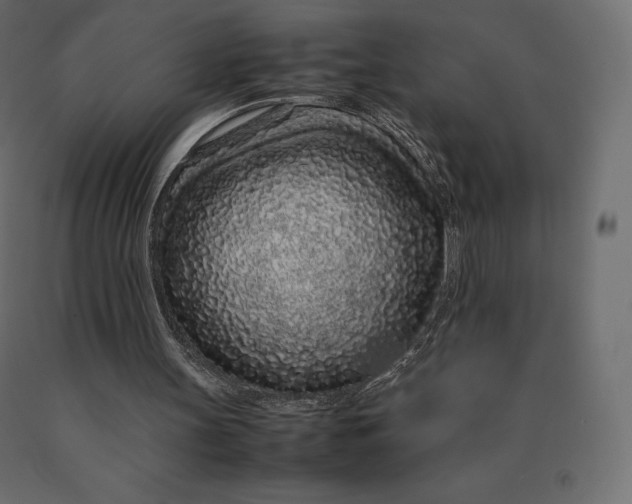 X0000090470147200708031313