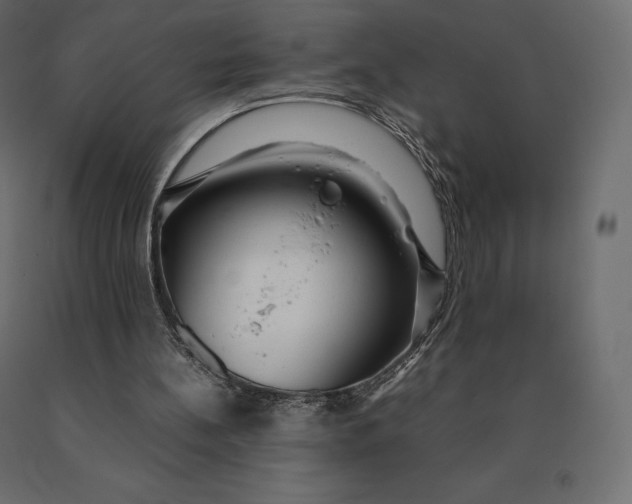 X0000090470148200708031313