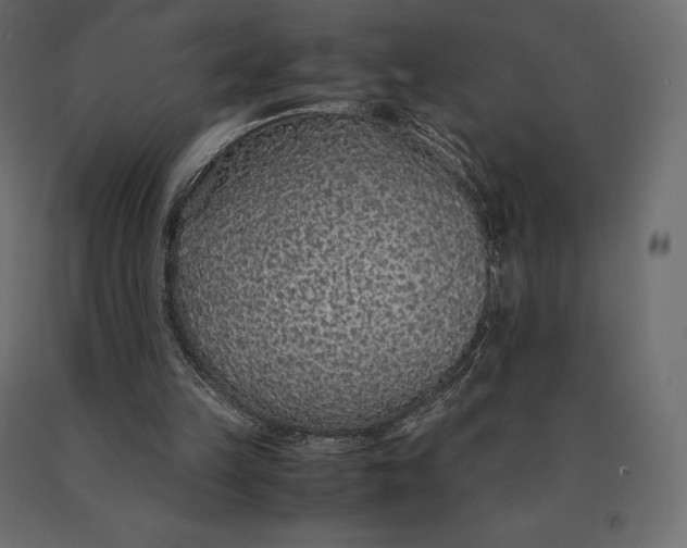 X0000090470149200708031313