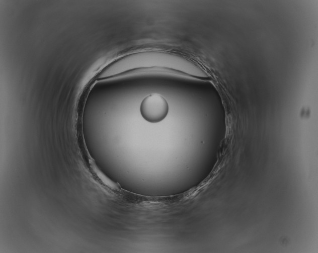 X0000090470150200708031313