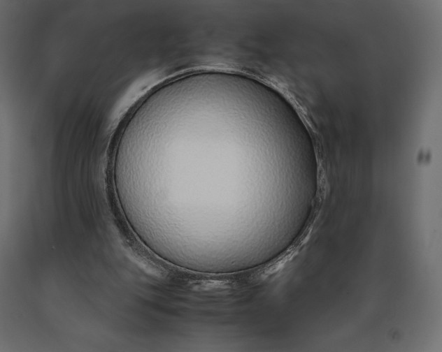 X0000090470151200708031313