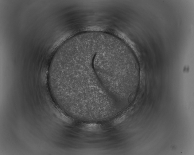 X0000090470153200708031313