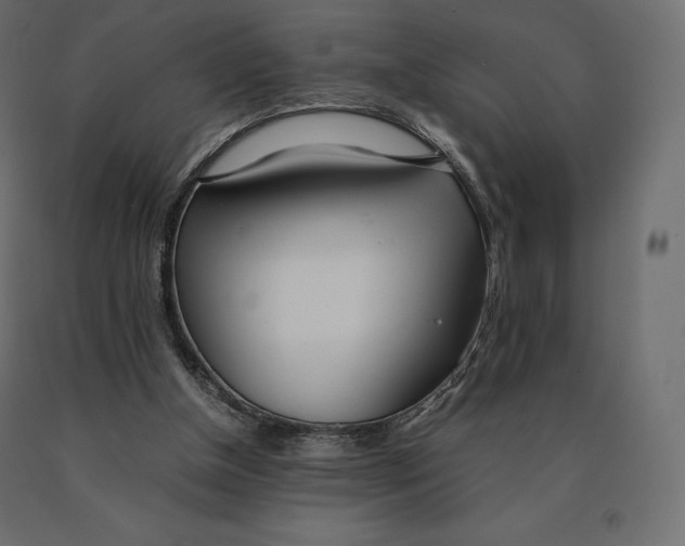 X0000090470154200708031313