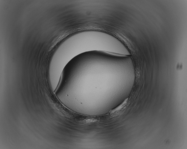 X0000090470158200708031313