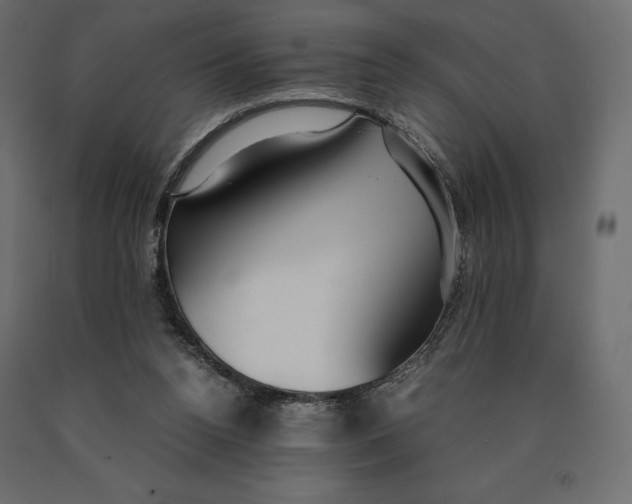 X0000090470160200708031313