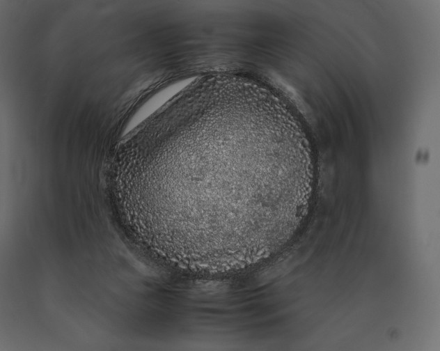 X0000090470161200708031313