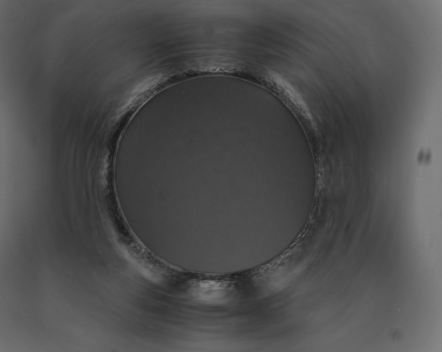 X0000090470163200708031313