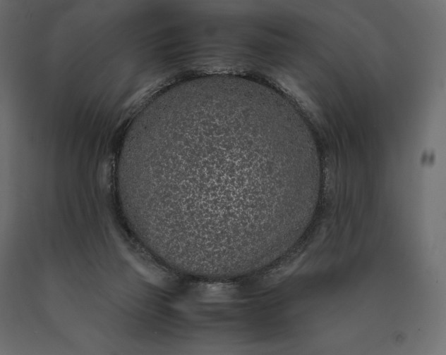 X0000090470165200708031313