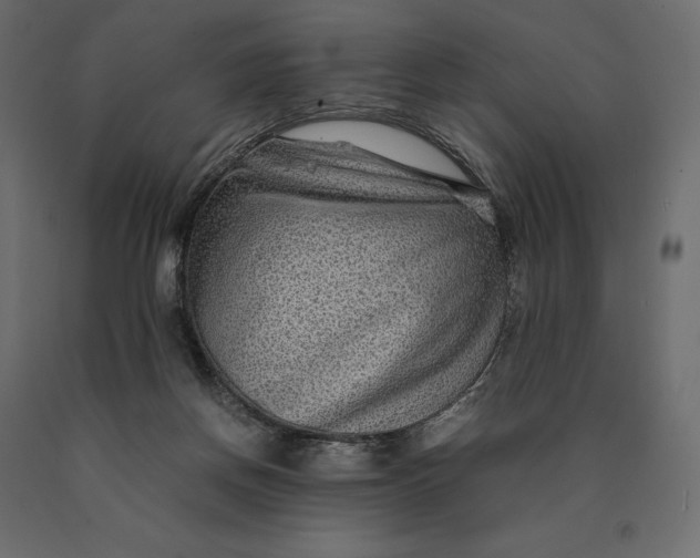 X0000090470166200708031313