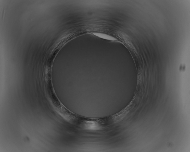 X0000090470167200708031313