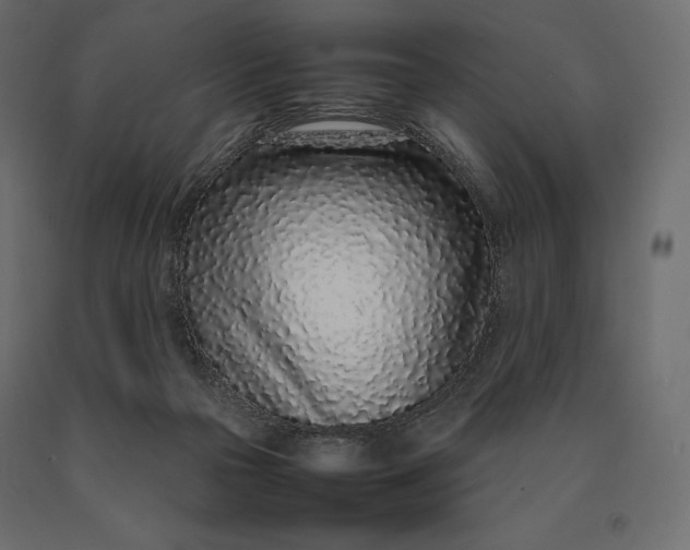 X0000090470169200708031313