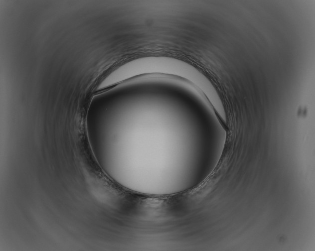 X0000090470176200708031313