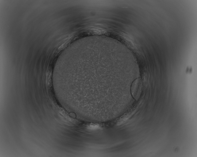 X0000090470177200708031313