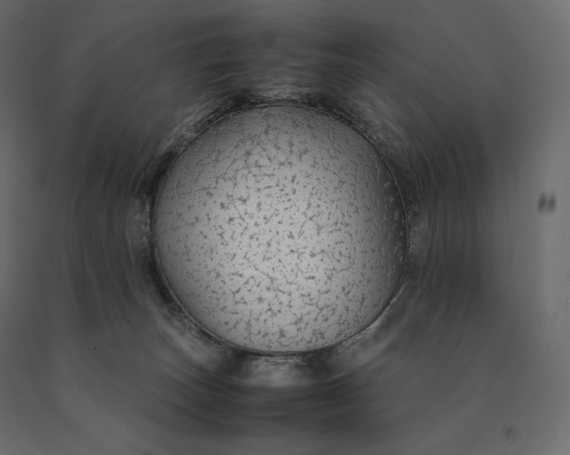 X0000090470179200708031313