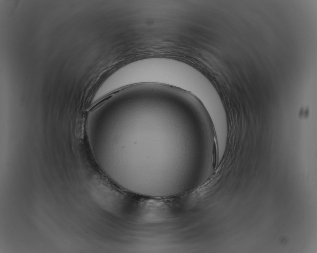 X0000090470180200708031313