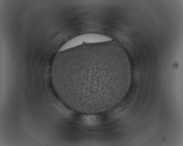 X0000090470181200708031313