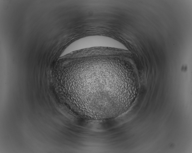 X0000090470182200708031313