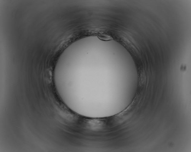 X0000090470183200708031313