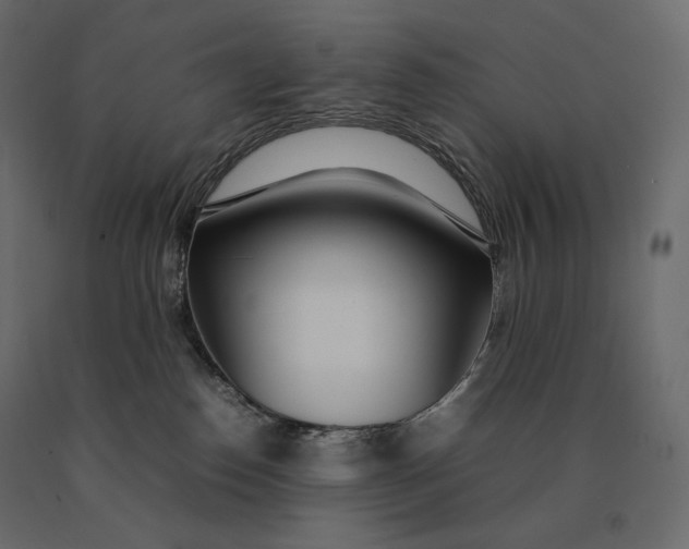 X0000090470186200708031313