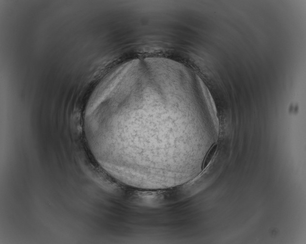 X0000090470187200708031313